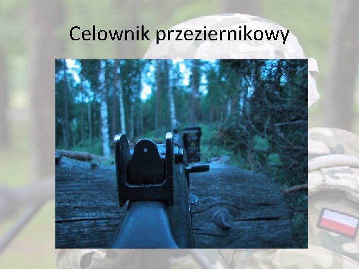 Celownik przeziernikowy 