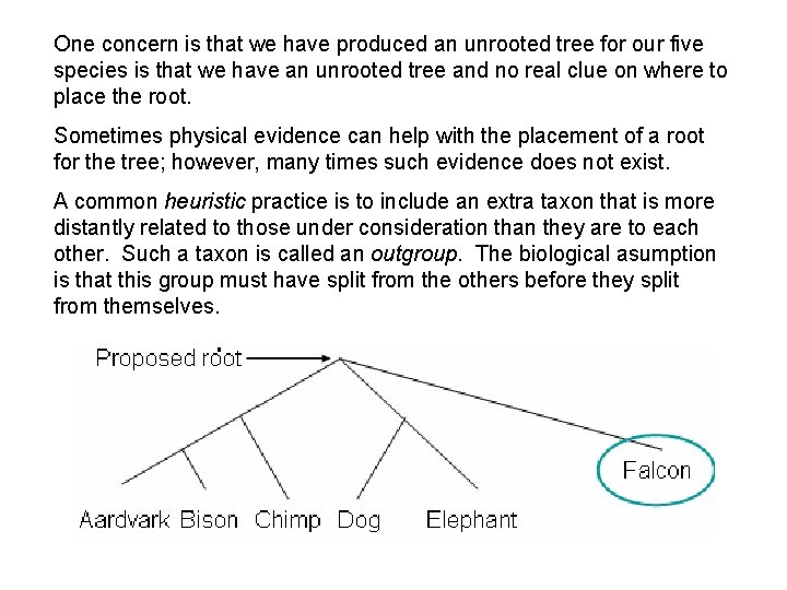 One concern is that we have produced an unrooted tree for our five species One concern is that we have produced an unrooted tree for our five species
