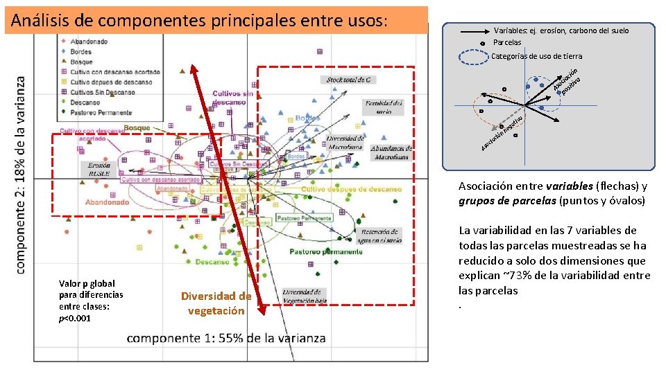 Análisis de componentes principales entre usos: Variables: ej. erosion, carbono del suelo Parcelas Categorias