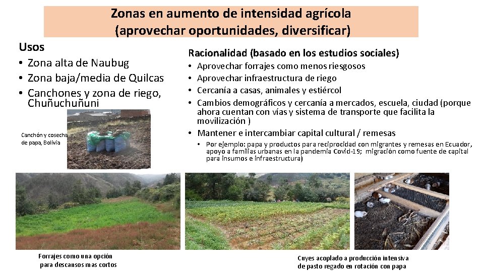 Zonas en aumento de intensidad agrícola (aprovechar oportunidades, diversificar) Usos • Zona alta de