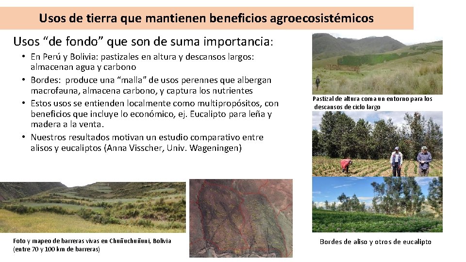 Usos de tierra que mantienen beneficios agroecosistémicos Usos “de fondo” que son de suma