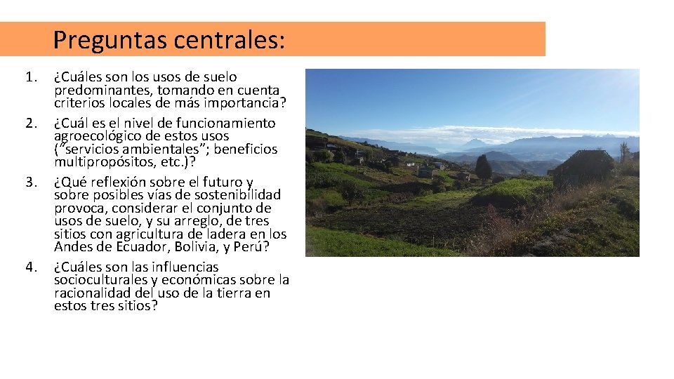 Preguntas centrales: 1. 2. 3. 4. ¿Cuáles son los usos de suelo predominantes, tomando