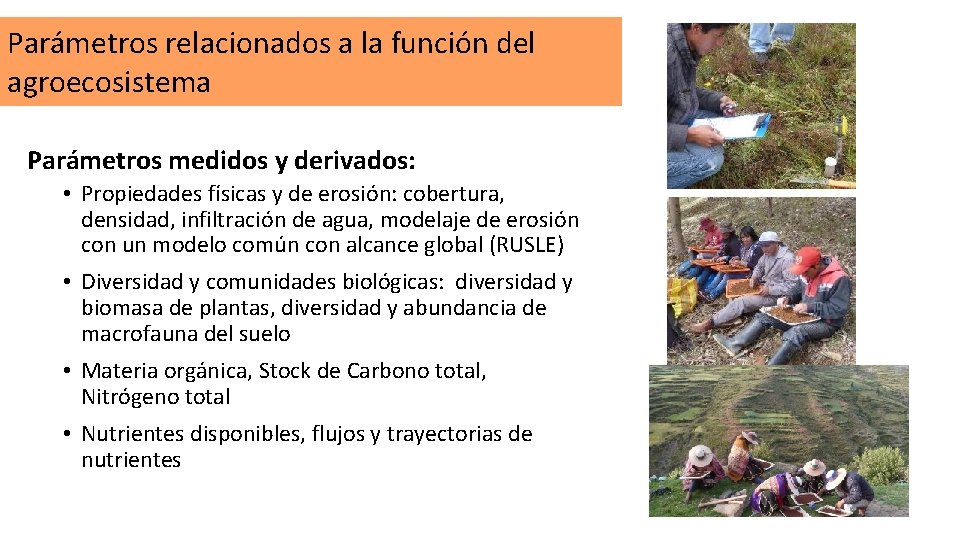 Parámetros relacionados a la función del agroecosistema Parámetros medidos y derivados: • Propiedades físicas