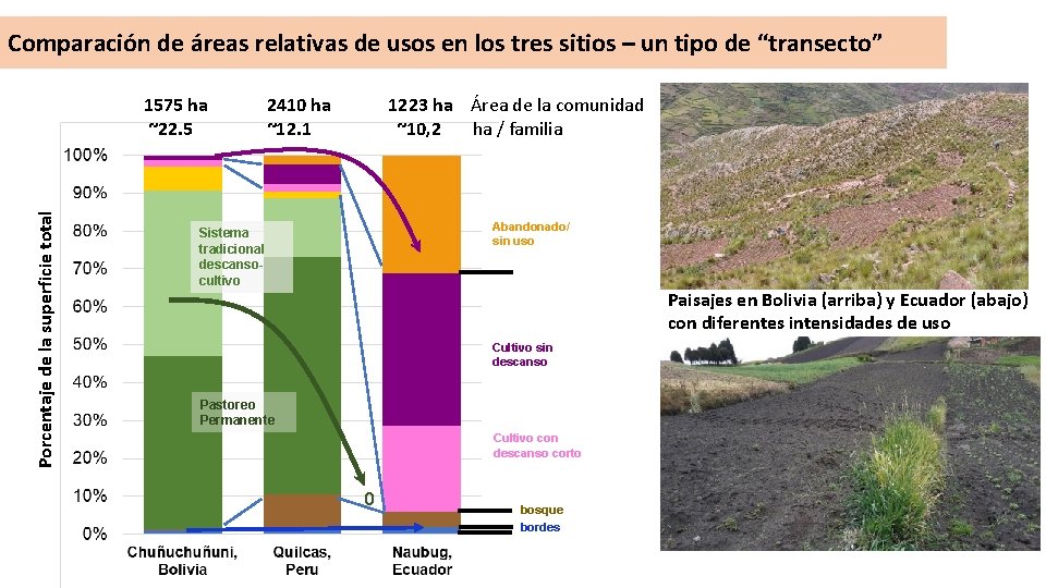 Comparación de áreas relativas de usos en los tres sitios – un tipo de