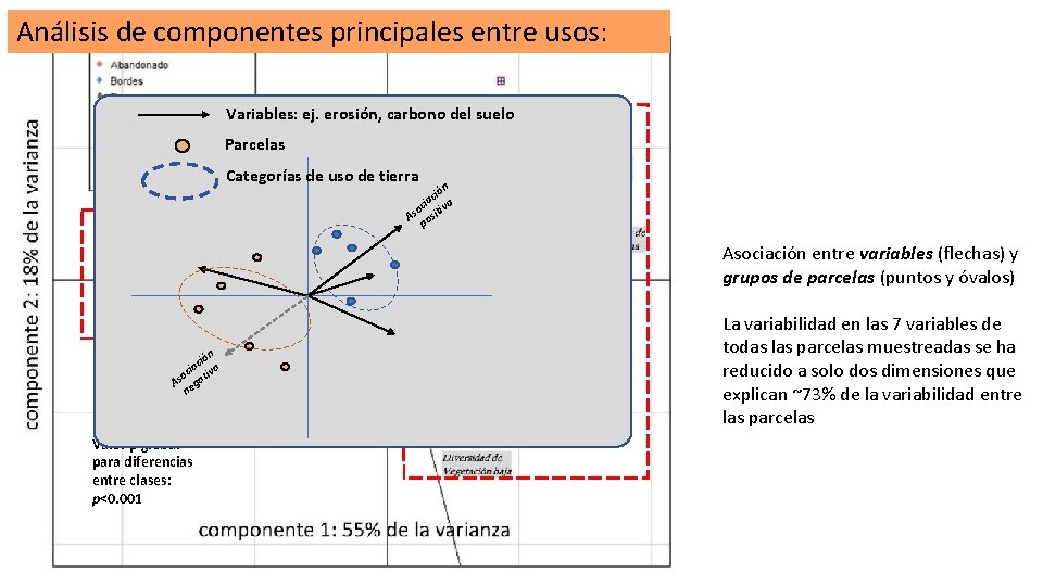 Análisis de componentes principales entre usos: Variables: ej. erosión, carbono del suelo Parcelas Categorías