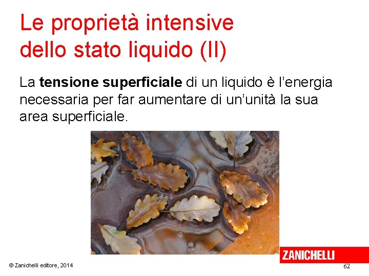 Le proprietà intensive dello stato liquido (II) La tensione superficiale di un liquido è Le proprietà intensive dello stato liquido (II) La tensione superficiale di un liquido è