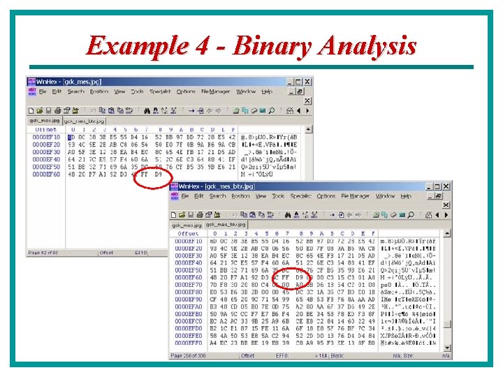 Example 4 - Binary Analysis 