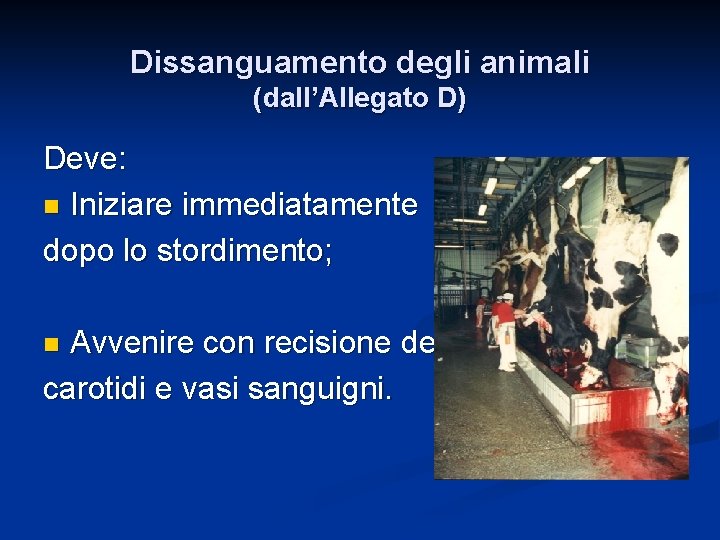 Dissanguamento degli animali (dall’Allegato D) Deve: n Iniziare immediatamente dopo lo stordimento; Avvenire con