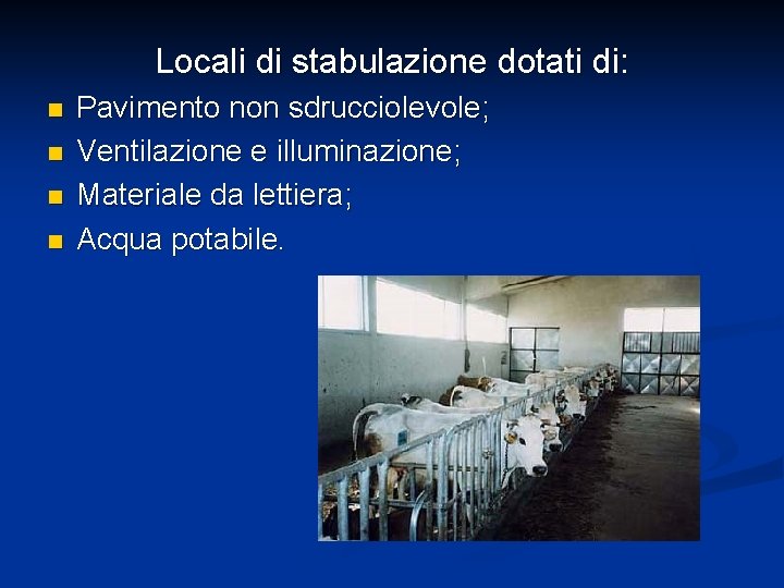 Locali di stabulazione dotati di: n n Pavimento non sdrucciolevole; Ventilazione e illuminazione; Materiale