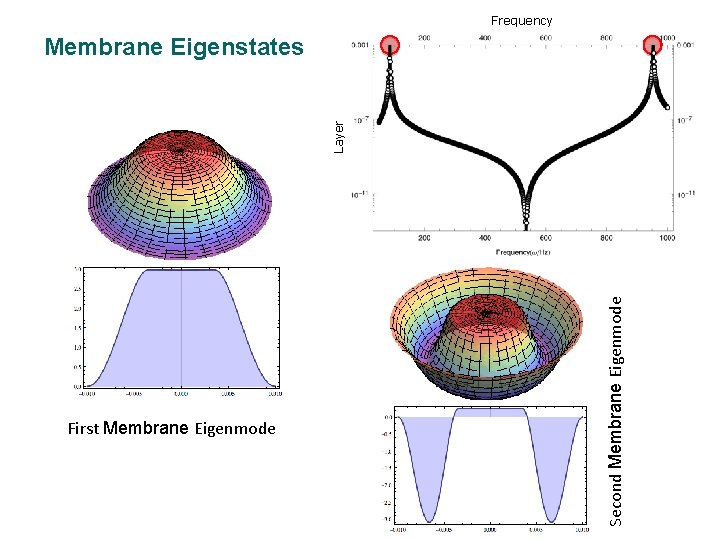 Frequency First Membrane Eigenmode Second Membrane Eigenmode Layer Membrane Eigenstates 