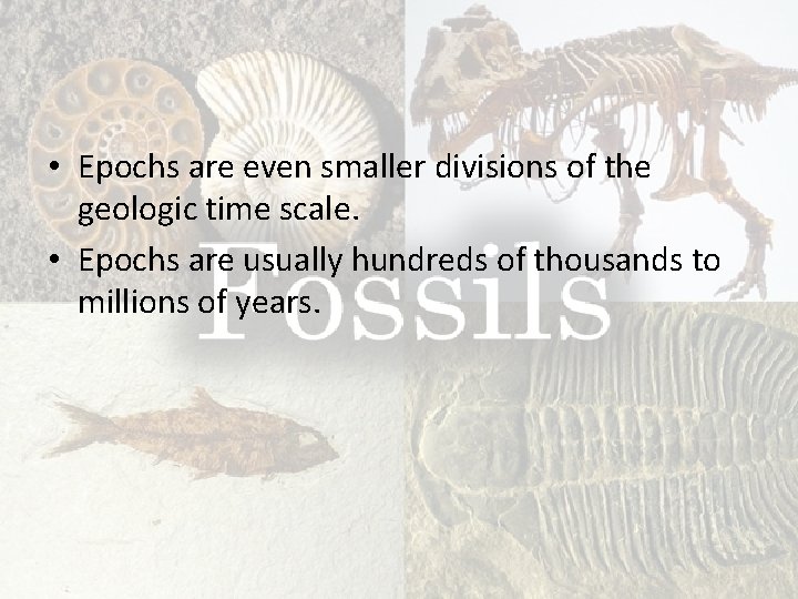  • Epochs are even smaller divisions of the geologic time scale. • Epochs