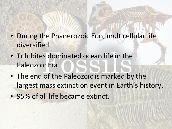  • During the Phanerozoic Eon, multicellular life diversified. • Trilobites dominated ocean life