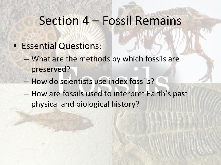 Section 4 – Fossil Remains • Essential Questions: – What are the methods by