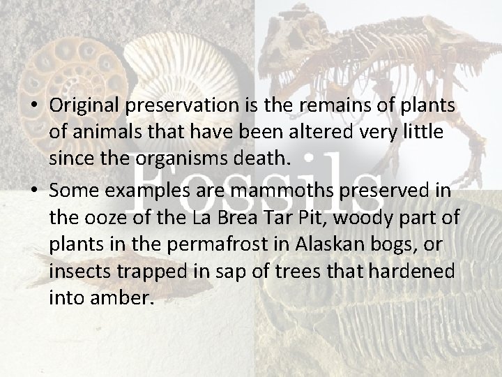  • Original preservation is the remains of plants of animals that have been