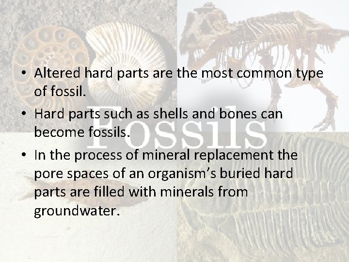 • Altered hard parts are the most common type of fossil. • Hard