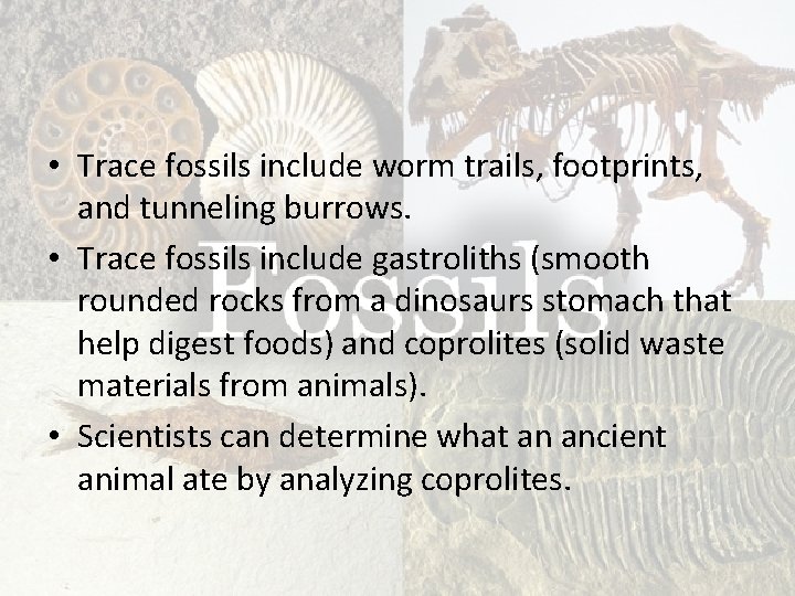  • Trace fossils include worm trails, footprints, and tunneling burrows. • Trace fossils