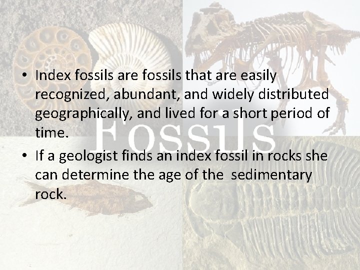 • Index fossils are fossils that are easily recognized, abundant, and widely distributed