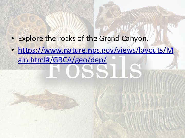  • Explore the rocks of the Grand Canyon. • https: //www. nature. nps.