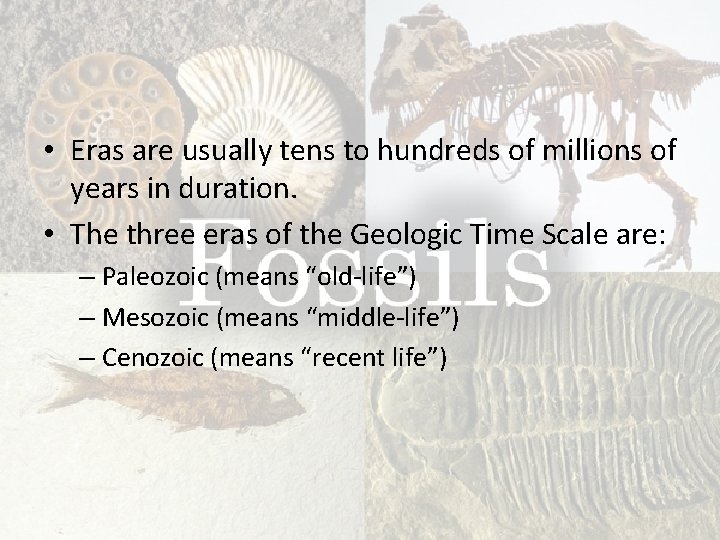  • Eras are usually tens to hundreds of millions of years in duration.