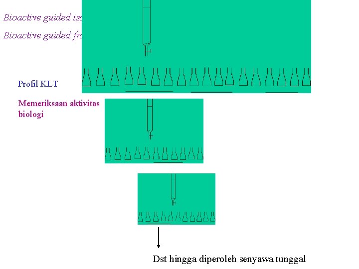 Bioactive guided isolation Bioactive guided fractionation Profil KLT Memeriksaan aktivitas biologi Dst hingga diperoleh