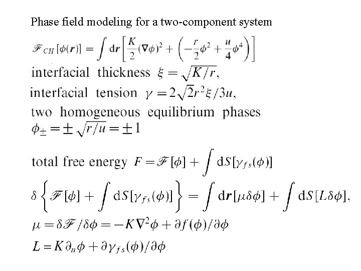 Phase field modeling for a two-component system 
