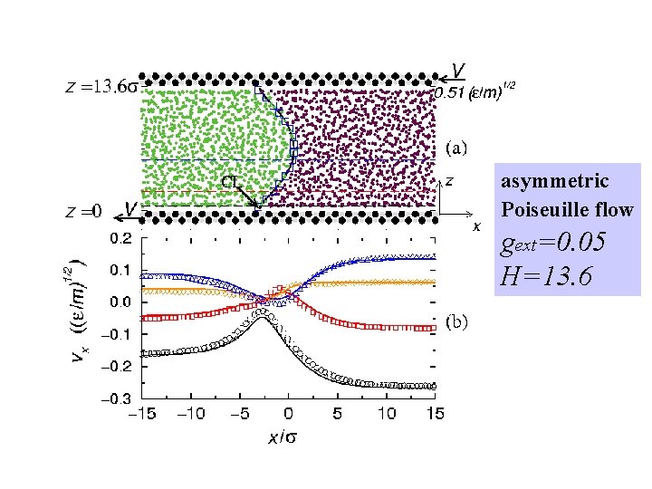 asymmetric Poiseuille flow gext=0. 05 H=13. 6 