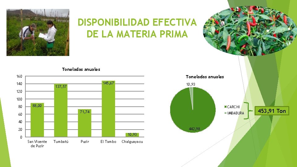 DISPONIBILIDAD EFECTIVA DE LA MATERIA PRIMA Toneladas anuales 160 Toneladas anuales 140 145, 67