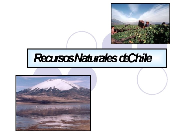 Recursos. Naturales de. Chile 