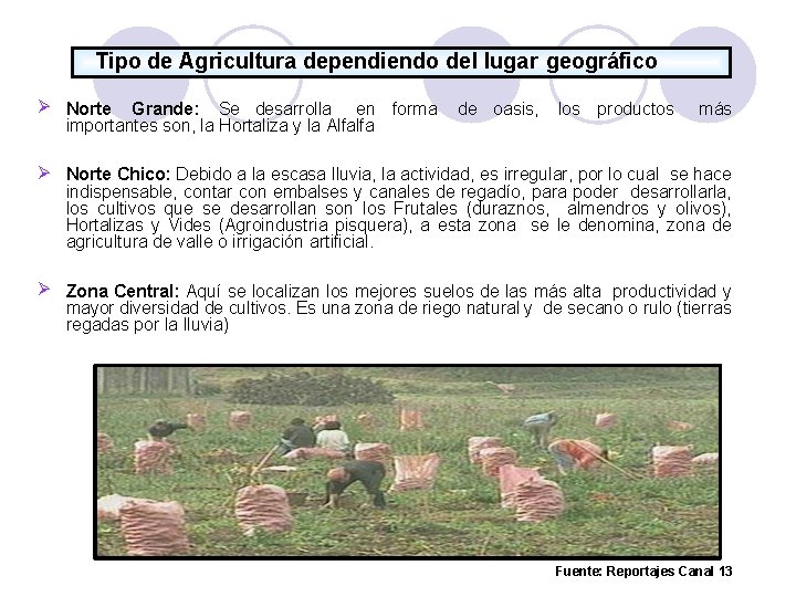 Tipo de Agricultura dependiendo del lugar geográfico Norte Grande: Se desarrolla en forma importantes
