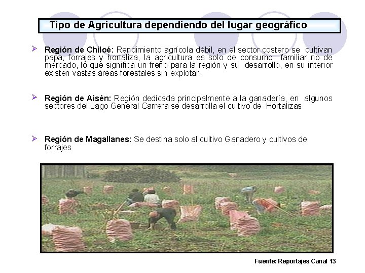 Tipo de Agricultura dependiendo del lugar geográfico Región de Chiloé: Rendimiento agrícola débil, en
