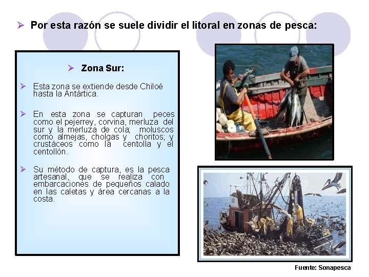  Por esta razón se suele dividir el litoral en zonas de pesca: Zona