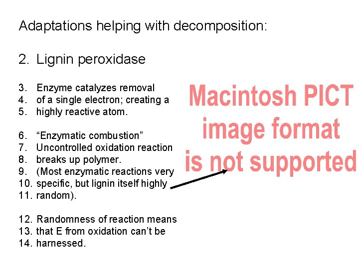 Adaptations helping with decomposition: 2. Lignin peroxidase 3. Enzyme catalyzes removal 4. of a