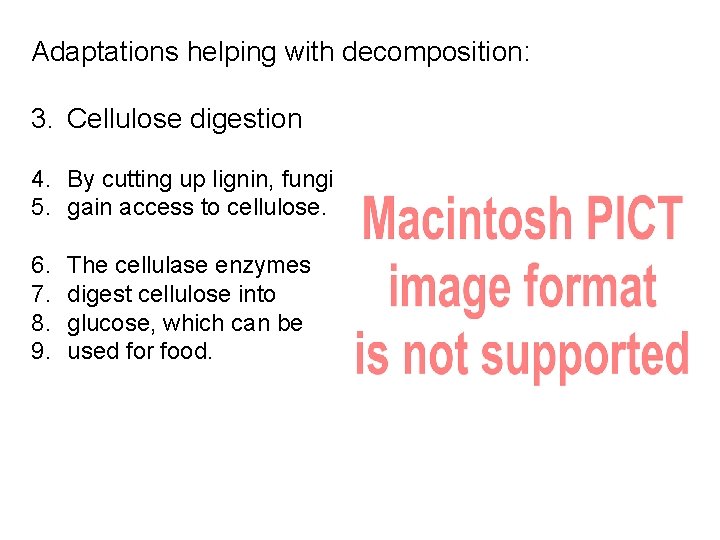 Adaptations helping with decomposition: 3. Cellulose digestion 4. By cutting up lignin, fungi 5.