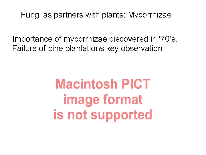 Fungi as partners with plants: Mycorrhizae Importance of mycorrhizae discovered in ‘ 70’s. Failure