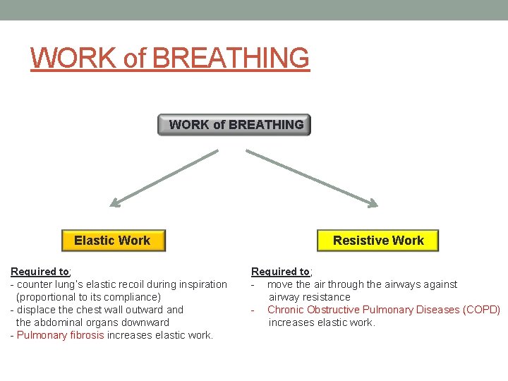 WORK of BREATHING Elastic Work Required to; - counter lung’s elastic recoil during inspiration