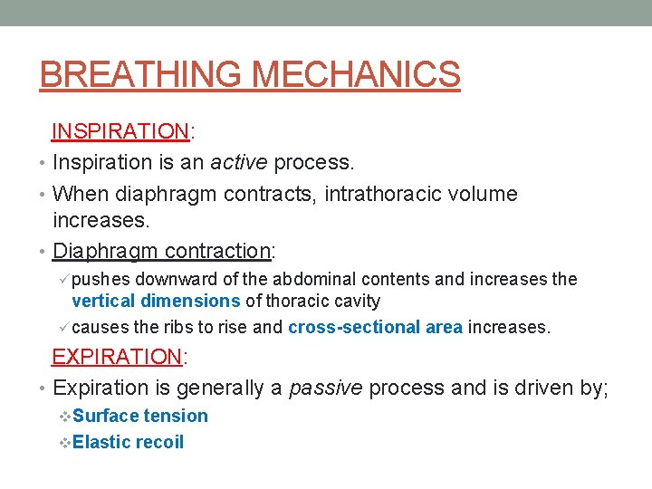 BREATHING MECHANICS INSPIRATION: • Inspiration is an active process. • When diaphragm contracts, intrathoracic