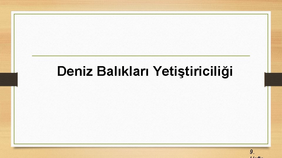 Deniz Balıkları Yetiştiriciliği 9. 