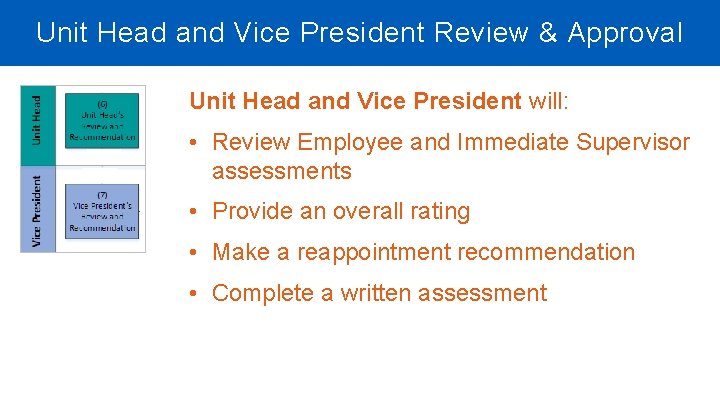 Unit Head and Vice President Review & Approval Unit Head and Vice President will: