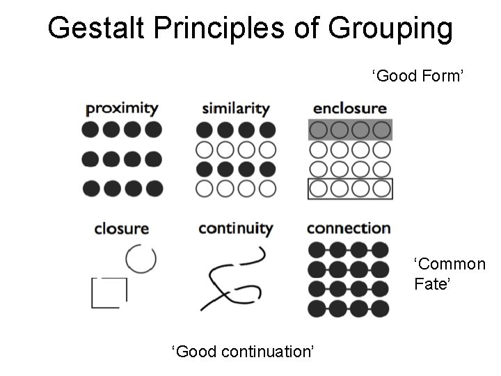 Gestalt Principles of Grouping ‘Good Form’ ‘Common Fate’ ‘Good continuation’ Gestalt Principles of Grouping ‘Good Form’ ‘Common Fate’ ‘Good continuation’