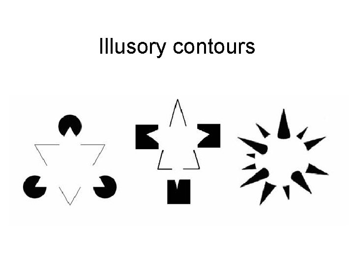 Illusory contours Illusory contours