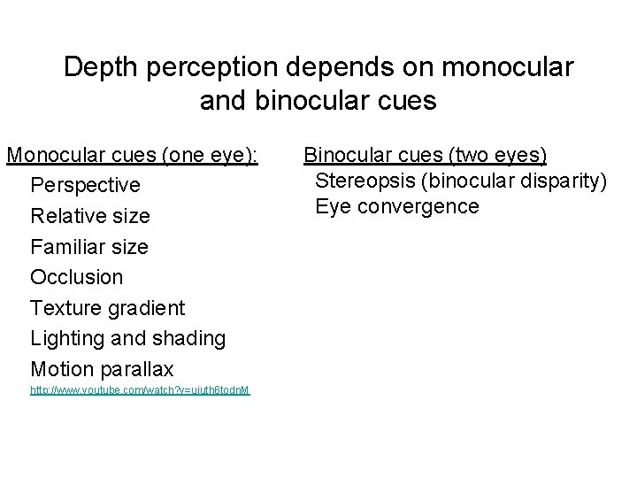 Depth perception depends on monocular and binocular cues Monocular cues (one eye): Perspective Relative Depth perception depends on monocular and binocular cues Monocular cues (one eye): Perspective Relative
