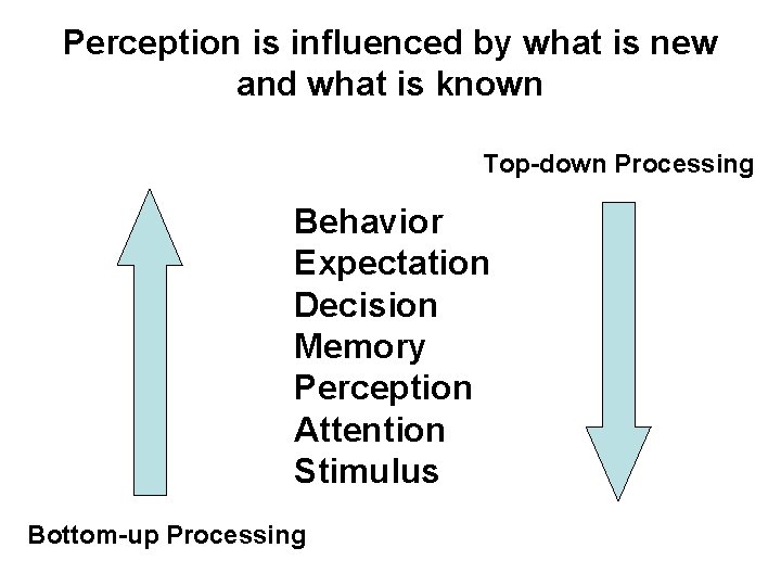 Perception is influenced by what is new and what is known Top-down Processing Behavior Perception is influenced by what is new and what is known Top-down Processing Behavior