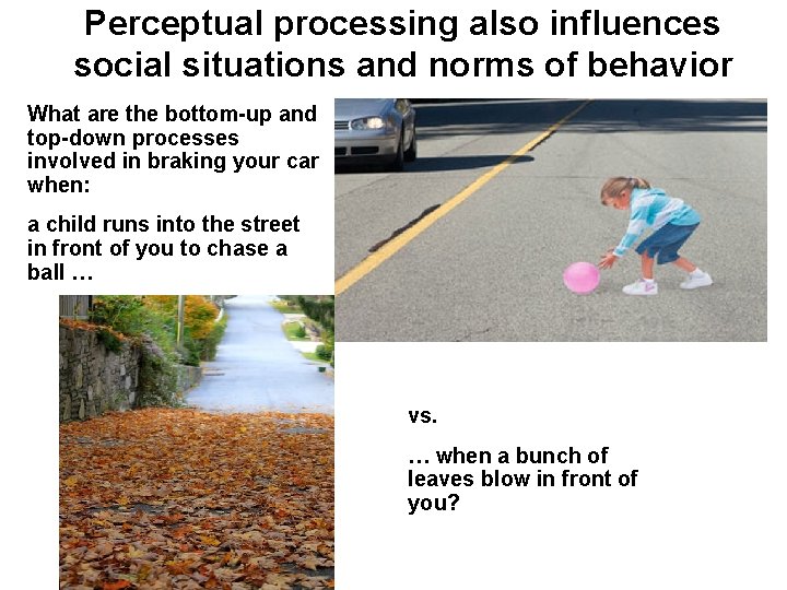 Perceptual processing also influences social situations and norms of behavior What are the bottom-up Perceptual processing also influences social situations and norms of behavior What are the bottom-up