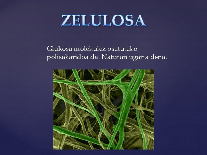 ZELULOSA Glukosa molekulez osatutako polisakaridoa da. Naturan ugaria dena. 