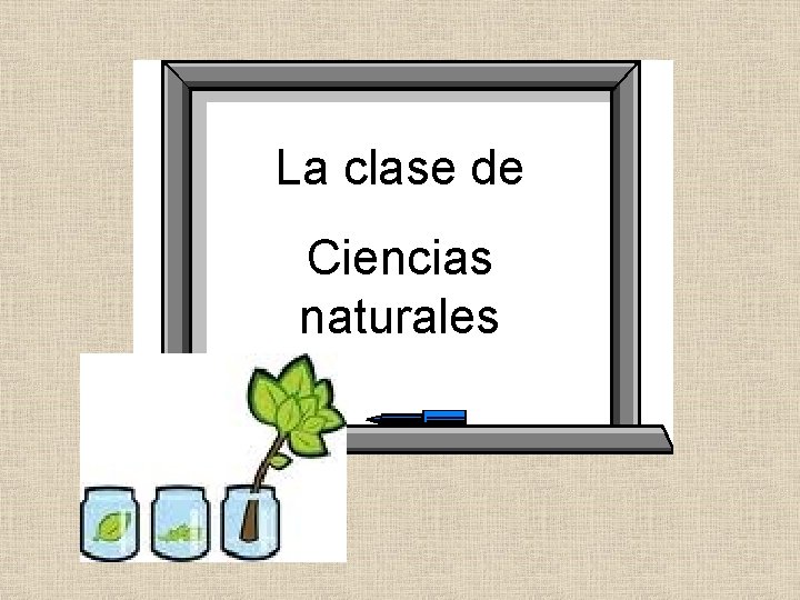 La clase de Ciencias naturales 