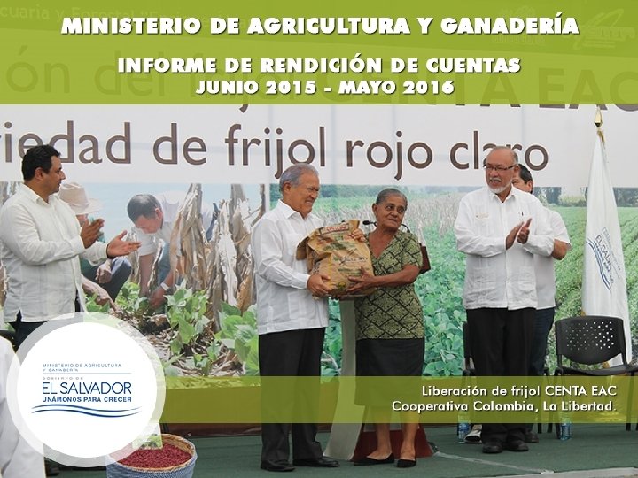 MINISTERIO DE AGRICULTURA Y GANADERÍA Informe de Rendición de Cuentas Junio 2015 - mayo