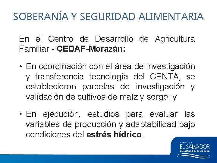 SOBERANÍA Y SEGURIDAD ALIMENTARIA En el Centro de Desarrollo de Agricultura Familiar - CEDAF-Morazán: