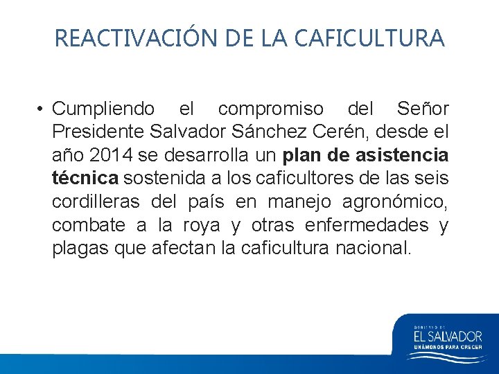 REACTIVACIÓN DE LA CAFICULTURA • Cumpliendo el compromiso del Señor Presidente Salvador Sánchez Cerén,