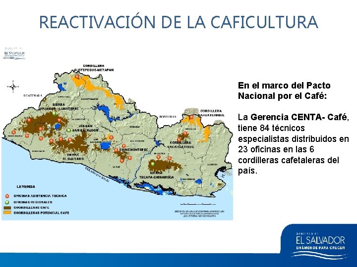 REACTIVACIÓN DE LA CAFICULTURA En el marco del Pacto Nacional por el Café: La