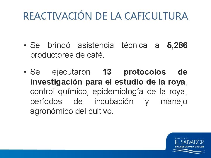 REACTIVACIÓN DE LA CAFICULTURA • Se brindó asistencia técnica a 5, 286 productores de